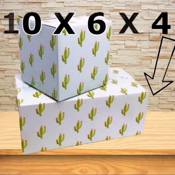 LAST SET ))) CLEARANCE 9 (10X6X4) Cactus Boxes - Picture 5 of 8